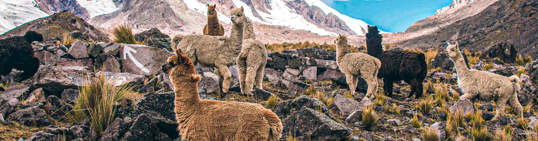 Machu Picchu 4D3N Viajero (Cultural Aventura Tendencia) desde Uruguay