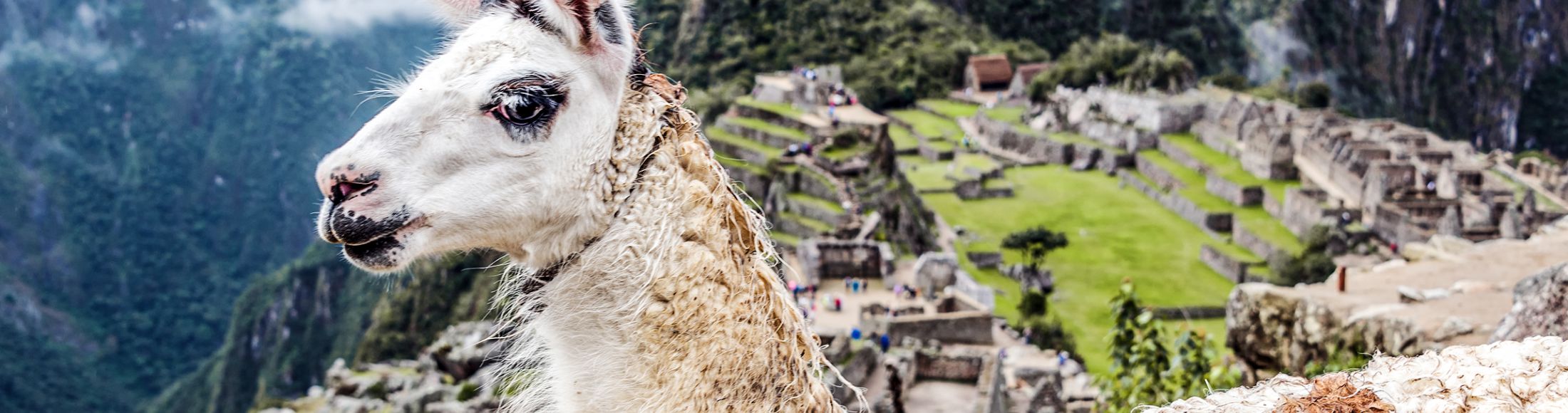 Machu Picchu 8D7N Viajero (Full Cultural) desde Uruguay